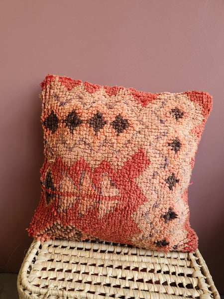 Kussen rood-roze -01-