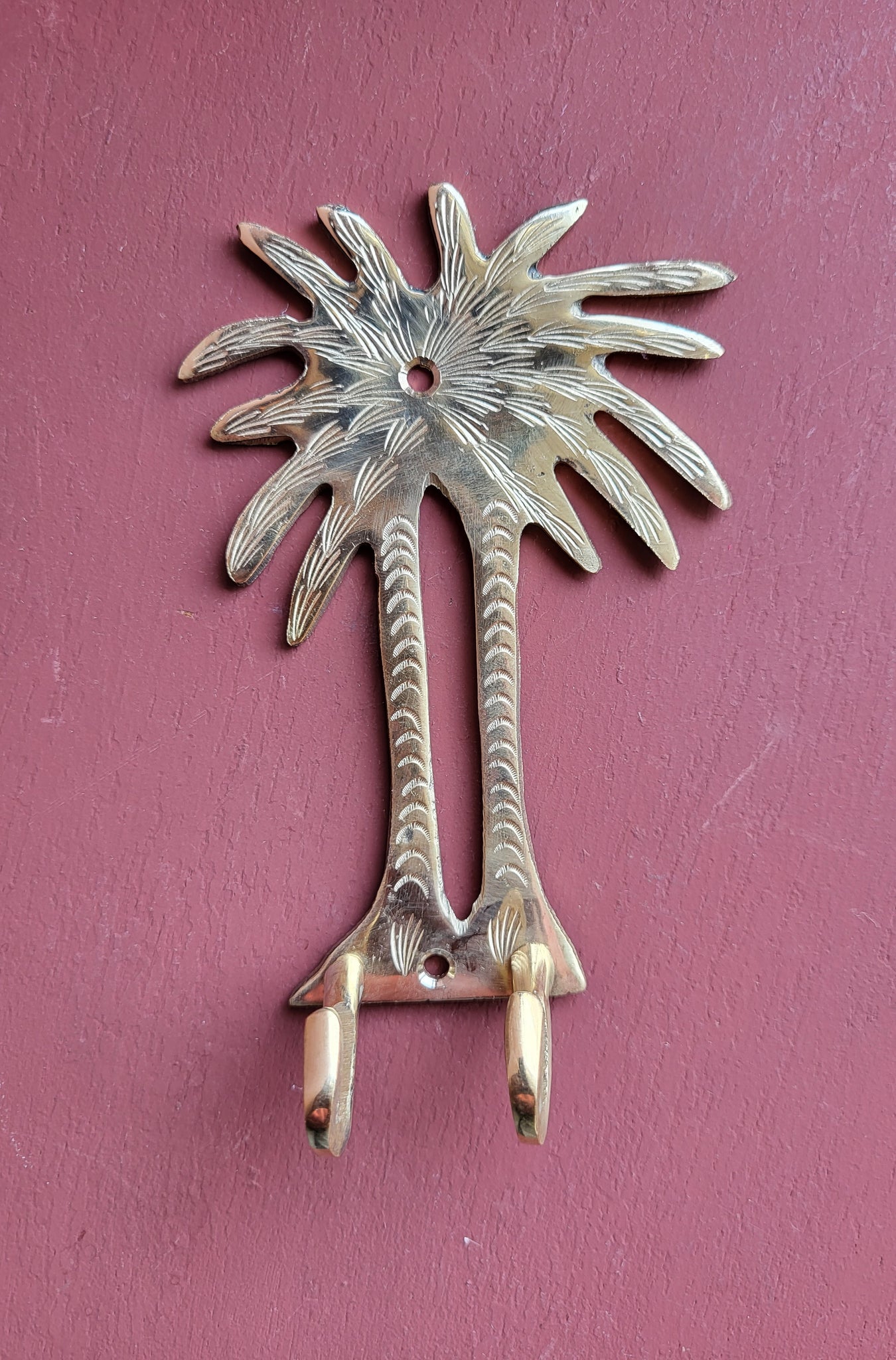 Wandhaak palmboom